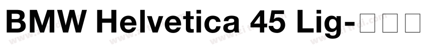 BMW Helvetica 45 Lig字体转换